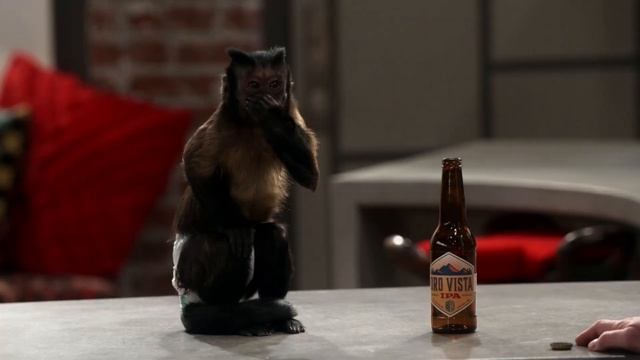 iCarly (2022) - Season 2 Episode 8 Review "i'M a USA Bae" смотреть онлайн