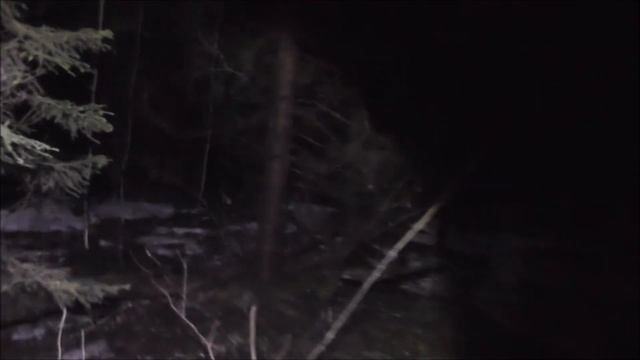 Поход Через Страшный Лес, Мёртвый Кабан смотреть онлайн
