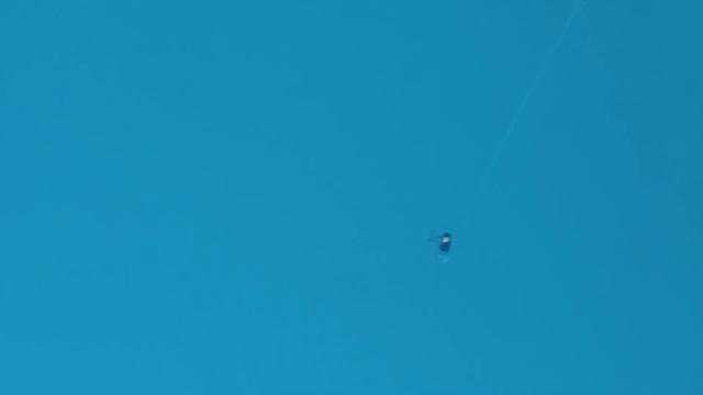 Fishycat Straycat 55F в работе! Техника и способы проводки.