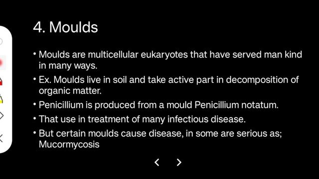 Classification of Microbes in Hindi!! смотреть онлайн