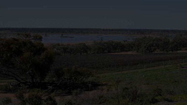 Mildura / Lake Mungo National Park Aug 2005 смотреть онлайн