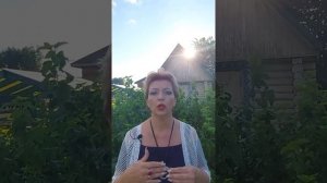 Какие деревья можно удалять без разрешения? Ответ здесь!