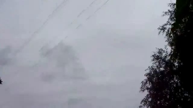 Учимся летать-аисты Псковской. смотреть онлайн