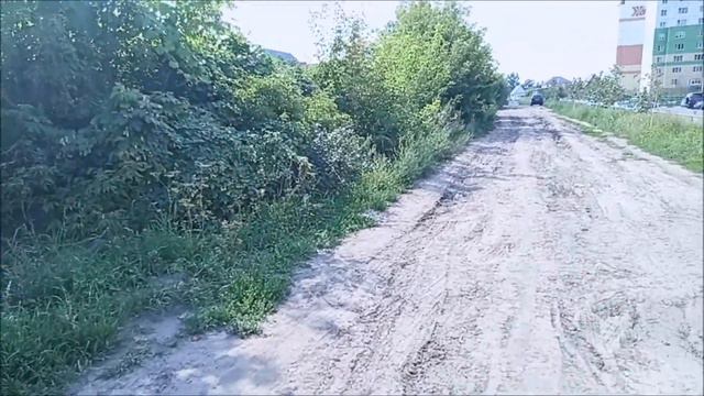 Если у тебя две собаки.... смотреть онлайн