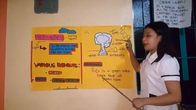 DEMO TEACHING PHOTOSYNTHESIS смотреть онлайн