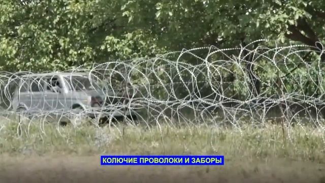 Обращение к россиянам в Грузии смотреть онлайн