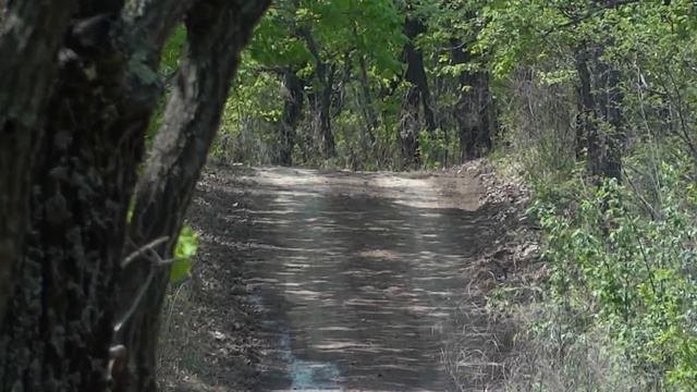 Ралли Тихий Океан 2012 су5 Монакино смотреть онлайн