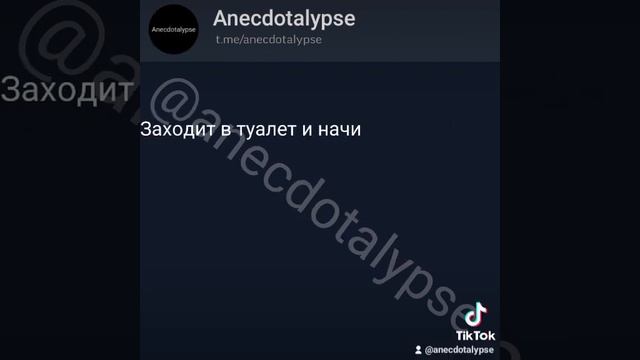 Про Белку?#анекдоты #чёрныйюмор #фейлы #приколы #белка #самолет #граница #дупло