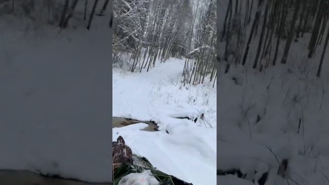 #зима#тайга#буран смотреть онлайн
