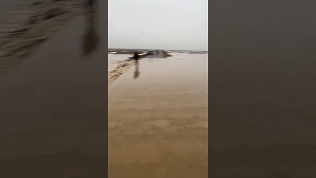 Люди самостоятельно борятся с повадками Казахстан. смотреть онлайн