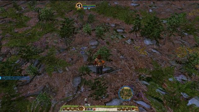 Прохождение Lord of the Rings Online - Старый Вяз (серия 17) смотреть онлайн