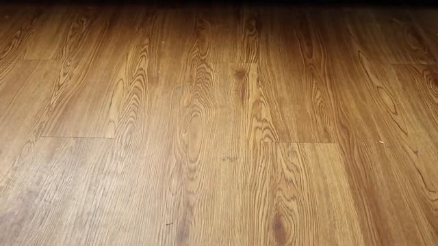 ZOE'S PUBLIC SPEAKING COMMERCIAL смотреть онлайн