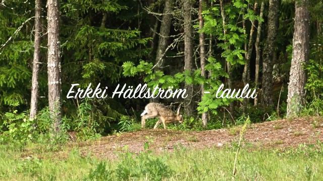 Suopursu смотреть онлайн