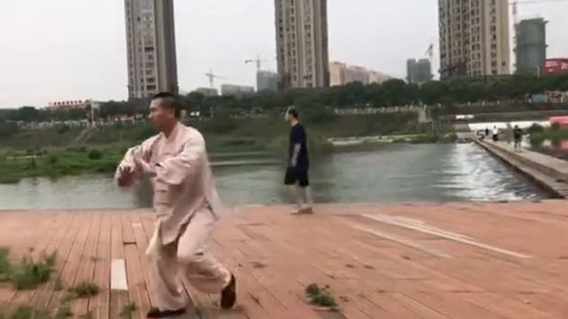 Стиль Чэнь 2