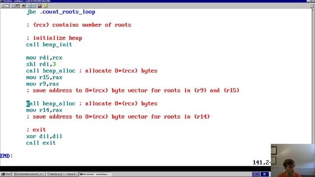 multiple root finding in x86 assembly | SCHIZONE LAB-02 смотреть онлайн