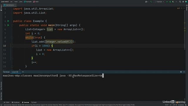 2.4_MetaSpace Size - Java Memory Management_ Garbage Collection