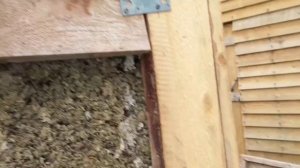 Баня из монолитного арболита своими руками. Ровные стены без лесенок ларсена, первый результат