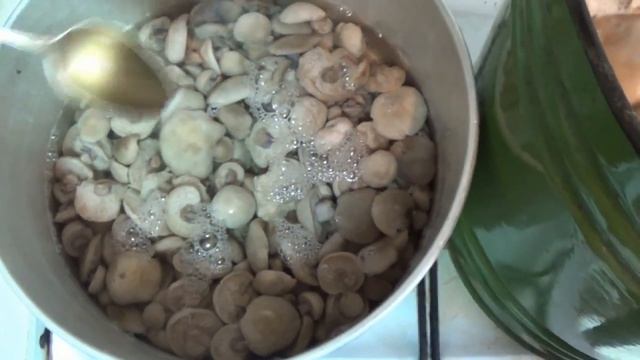 Как мариновать грибы синюшки . смотреть онлайн