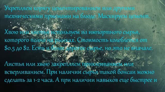 Изготовление бонсаи смотреть онлайн