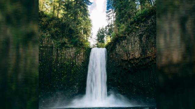 #relaxation music music for relaxation and studying / музыка для расслабления и учёбы смотреть онлайн