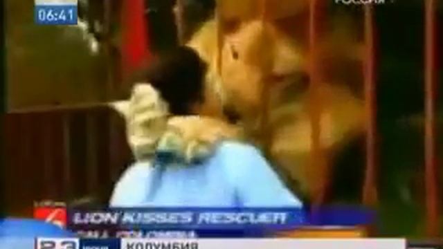 Память есть и у животных. смотреть онлайн