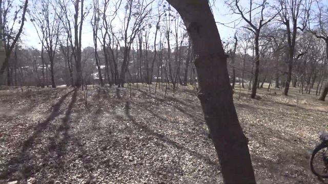 Прогулки по Киеву. Окончание истории с Мандаринками) 15 марта