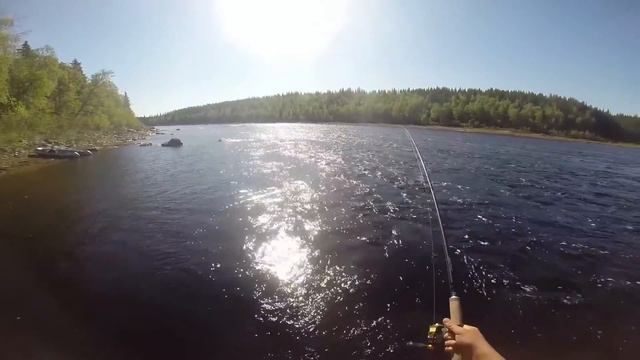 Трофейная сёмга - тест блесен/ Trophy salmon - spoon lures testing. смотреть онлайн