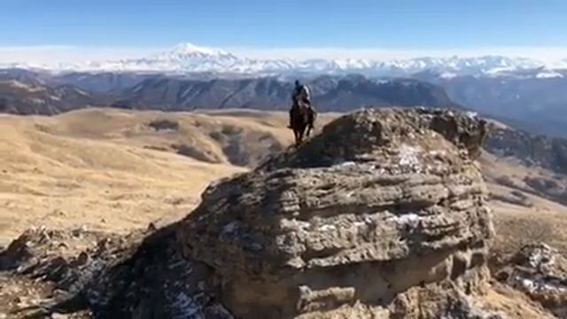 ЛУЧШАЯ ГОРНАЯ ПОРОДА-КАРАЧАЕВСКАЯ. Карачаевская порода лошадей смотреть онлайн
