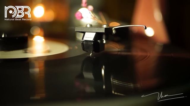 Hi-Res Audiophile Test Speaker 24 Bit - Best Voices & Instrumental - Audiophile NBR Music