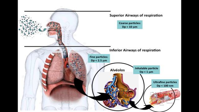 'Why Do We Age?' By Hilton Hotema, Excerpt #1
