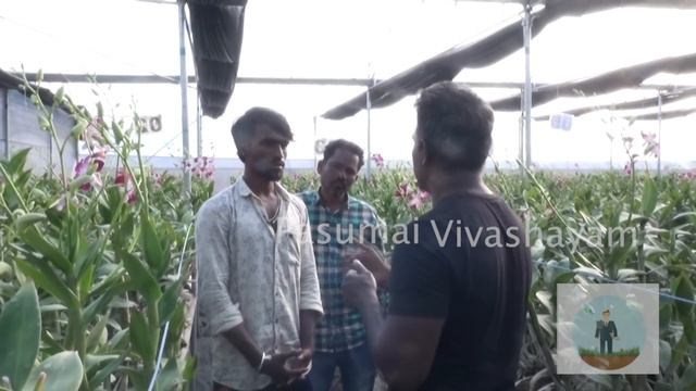 hong kongஇல் இருந்து நாற்று வாங்கி ஆர்க்கிட் மலர்சாகுபடி செய்கிறார் смотреть онлайн