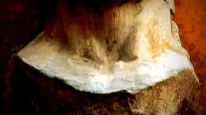 СОВЕРШЕННО СЕКРЕТНАЯ ИНФОРМАЦИЯ ВАТИКАНА!