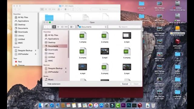how to install raya pro 3.0 Mac 2020
