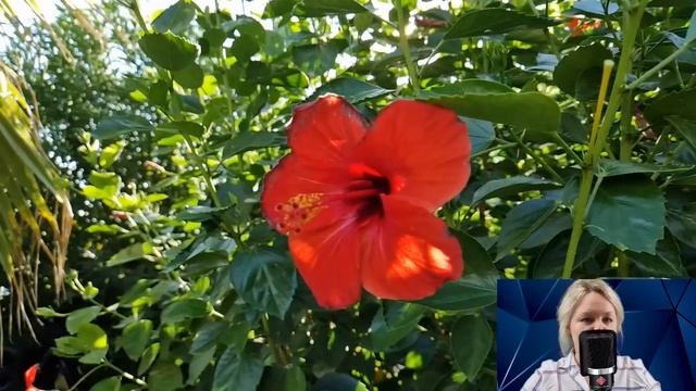 Ирина нехотя шла домой, ведь там её ждал неприятный сюрприз от мужа...