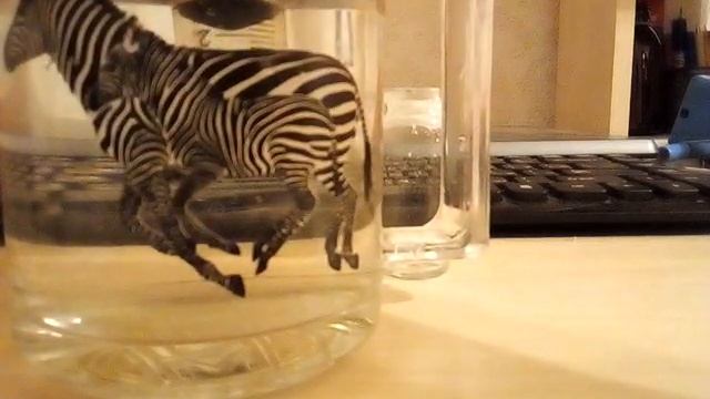 Домашняя музыка смотреть онлайн