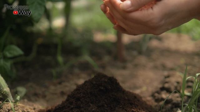 Очень Мощное Удобрение для огорода своими руками! смотреть онлайн