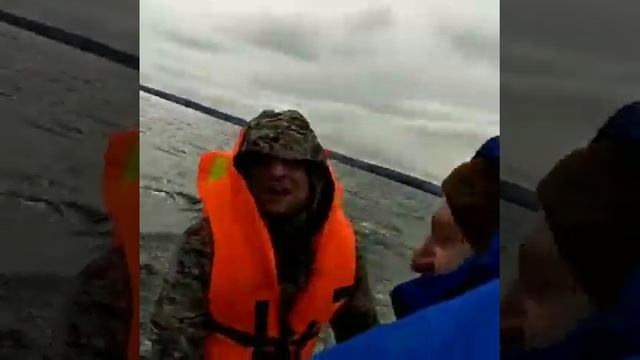 Карелия/оз.Пяозеро/Заброска/ Август2019 смотреть онлайн