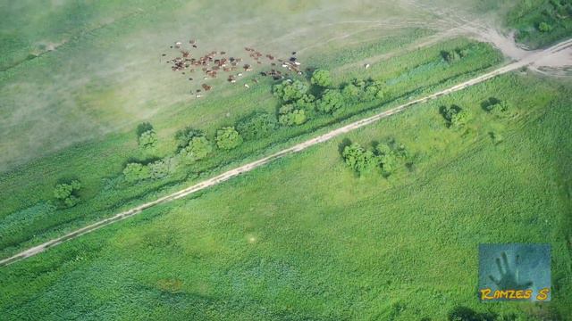 Уссурийск 2021 - На озере смотреть онлайн