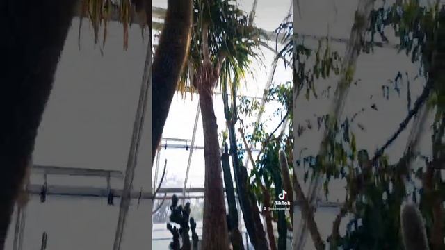 высокий кактус смотреть онлайн