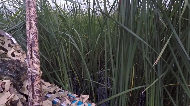 СУПЕР ОТКРЫТИЕ ОХОТЫ НА УТОК!!!СЕЛЕЗЕНЬ УПАЛ НА ГОЛОВУ! ОХОТА НА УТКУ 2020 / MAX HUNTER смотреть онлайн