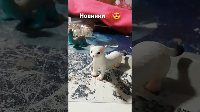 Горностай и Морской Лев?#ВМИРЕЖИВОТНЫХ #ТЮЛЕНИ #акулы #дельфинырулят #морскиеЖивотные #горностай смотреть онлайн