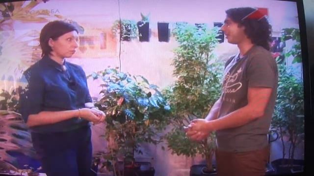 Досвечивание растений http://vermitechnologii.ru/ 15.03.2015 1 смотреть онлайн