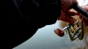 Поплапопер в январе,2020