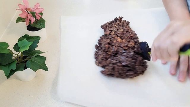 Животные в Зоопарках