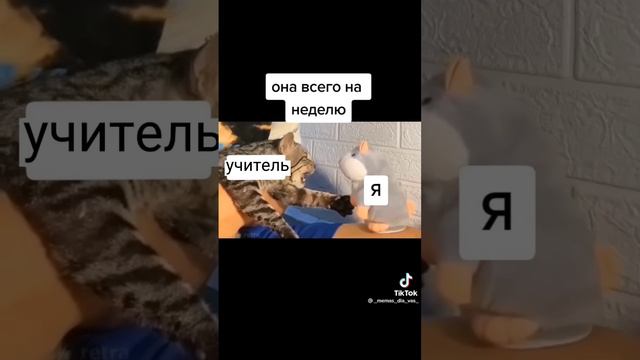 я после больничного😅 смотреть онлайн