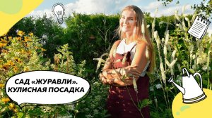 Кулисная посадка в саду "Журавли" | Посконник | Клопогон | Гортензия Tardiva | Ландшафтный дизайн