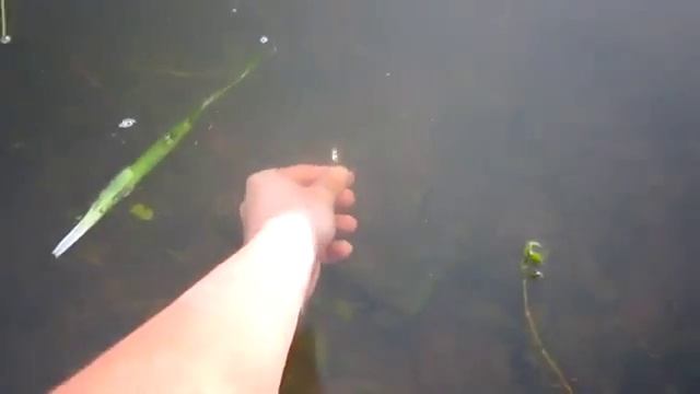 Рыбак ловит рыбу руками смотреть онлайн