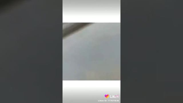 Похоже на киви! Что это?? смотреть онлайн