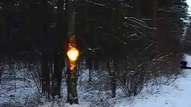 Разрывные пульки для пневматики) в действии смотреть онлайн