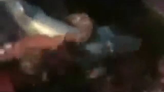 Shark vs Octopus Акула против Осьминога смотреть онлайн